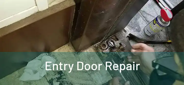 Entry Door Repair